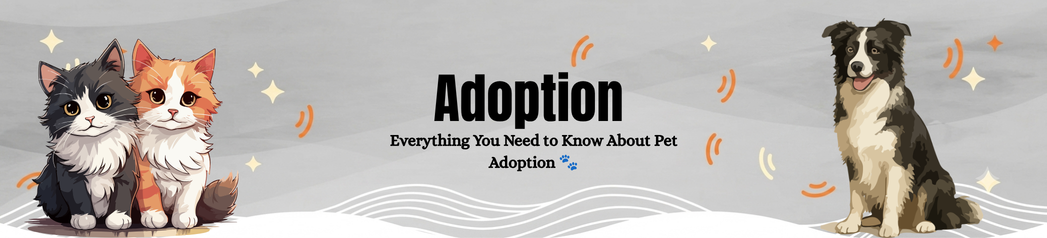 Adoption