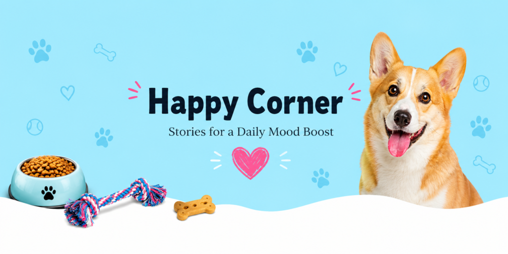 Dog lover banner featuring a happy corgi and stories for a daily mood boost.
