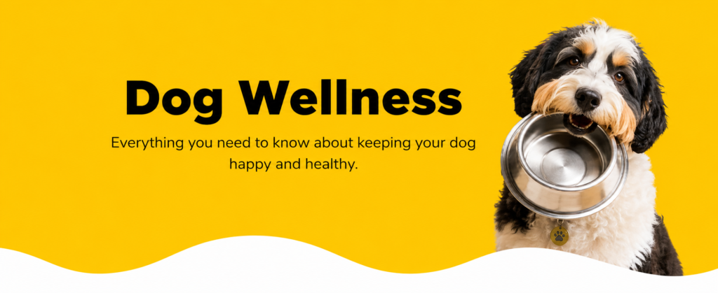 Healthy dog holding a food bowl on a Dog Wellness educational banner.