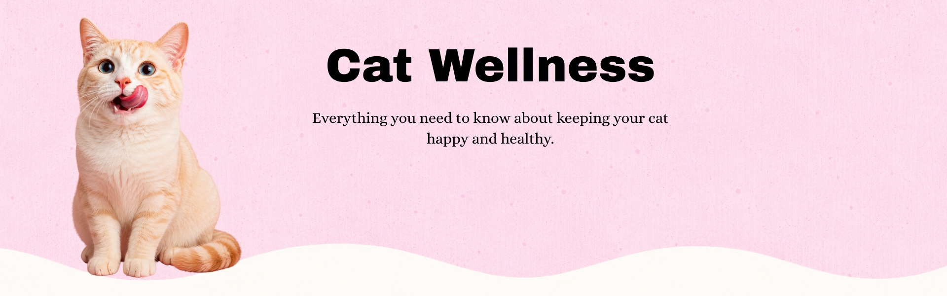 Pet wellness banner featuring a cat and advice for maintaining feline health.