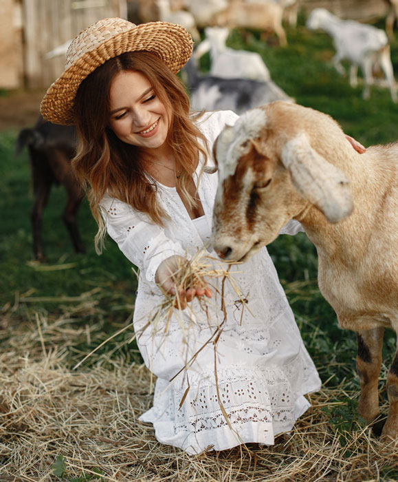 Woman feeding a goat hay on a farm featured on moatales